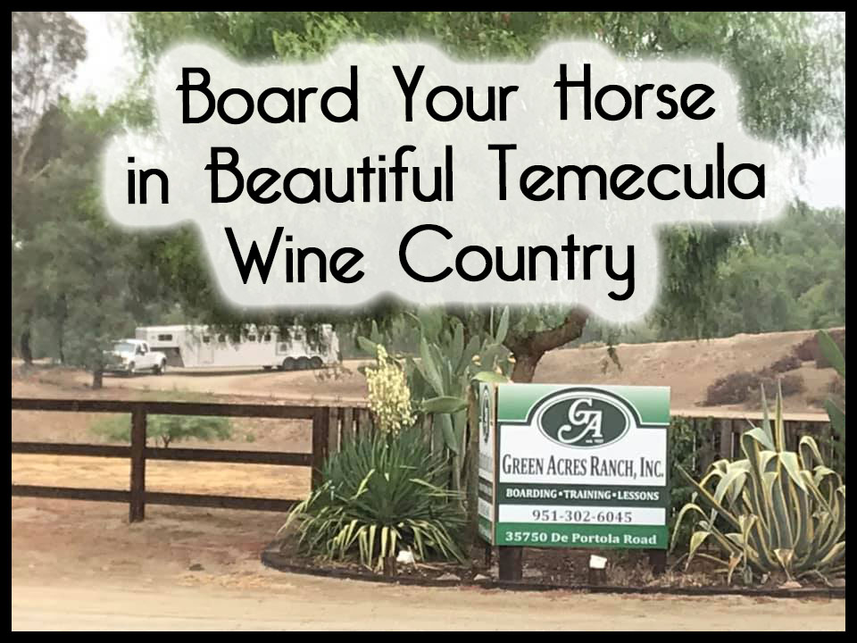Board Your Horse in Beautiful Wine Country Temecula
