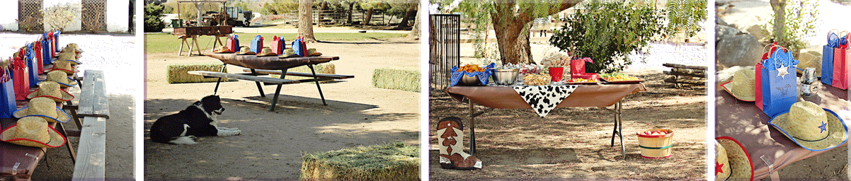 horse birthday parties at Green Acres in Temecula, CA