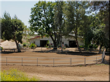 horse boarding in Temecula