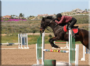 horse boarding in Temecula